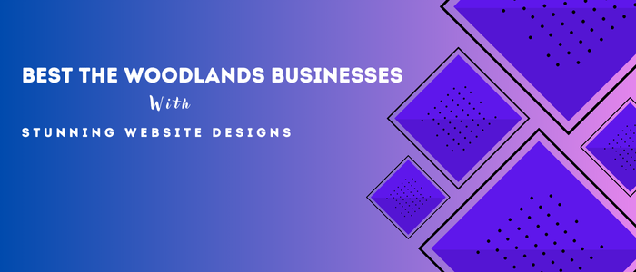 Best The Woodlands Businesses with Stunning Website Designs